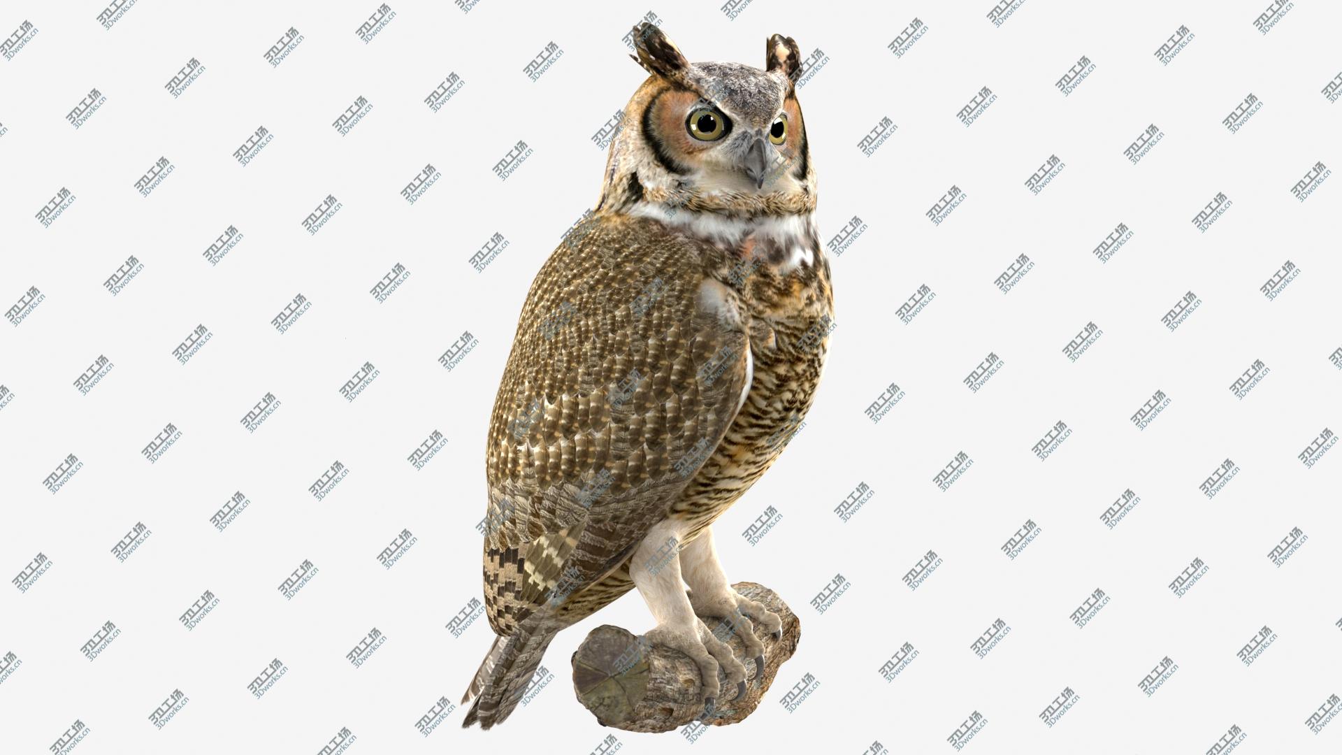 images/goods_img/202105072/Owl 3D model/3.jpg